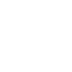 Logo PLSS
